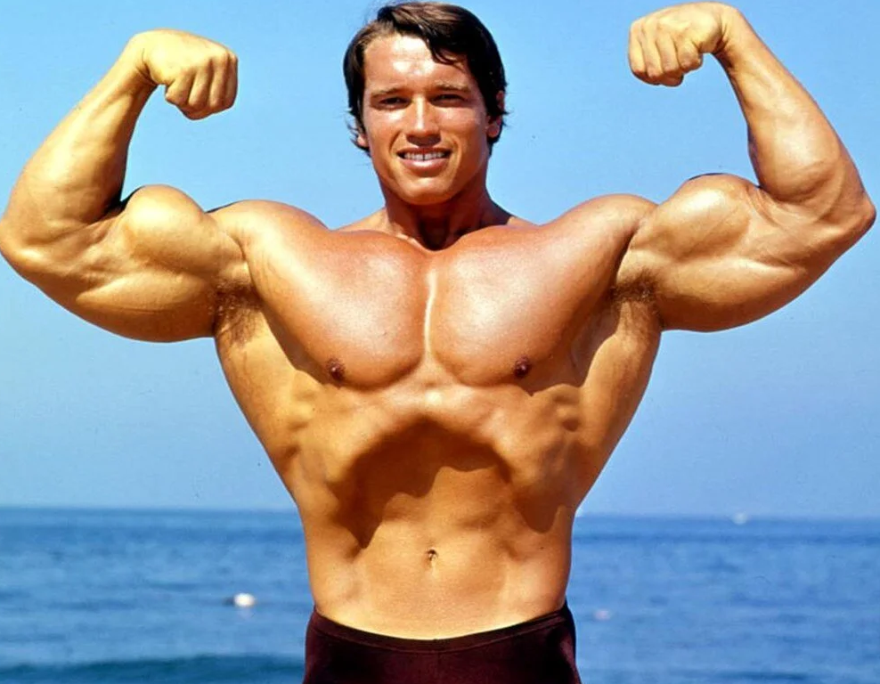 Arnold Schwarzenegger Biography